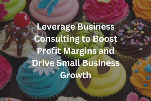 image of Leverage Business Consulting to Boost Profit Margins and Drive Small Business Growth